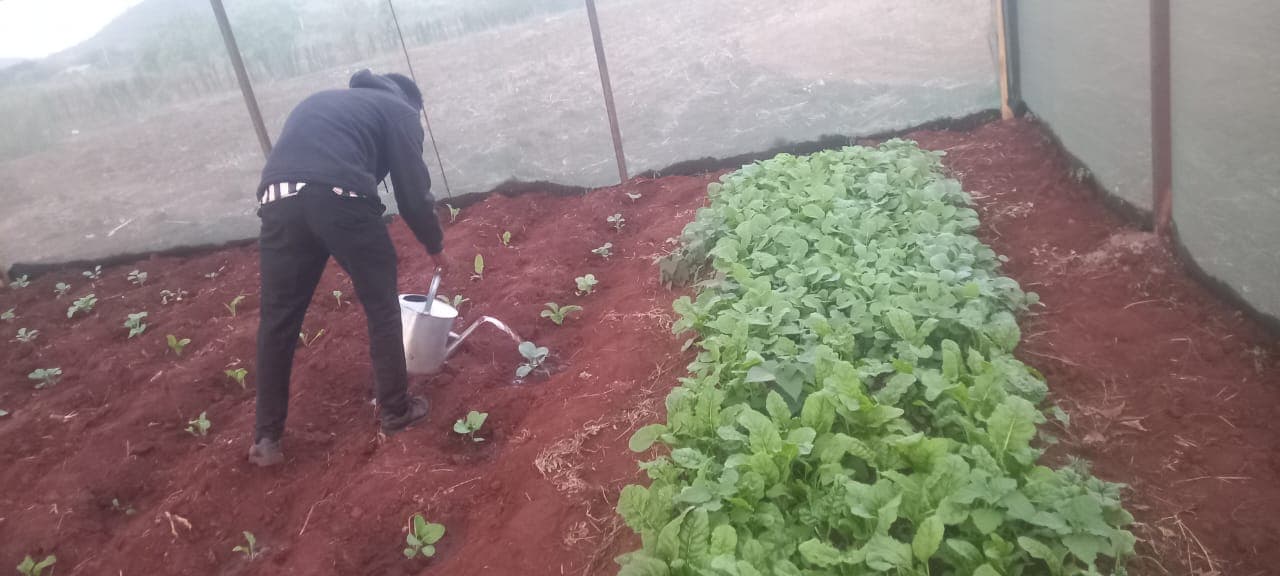 Sustainable Livelihoods and Enterprise Development
