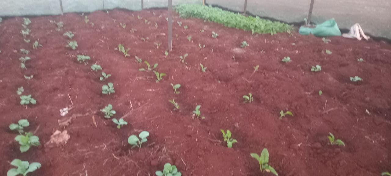 /Spacegallery/spaceimpactkenya-community-photo-3.jpeg