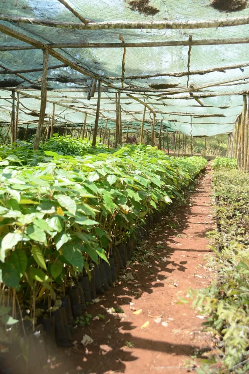 /Spacegallery/spaceimpactkenya-drought-resilience-1.webp